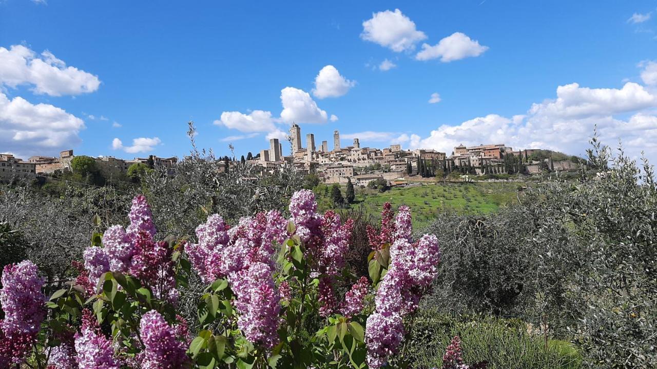 Antico Casolare Villa San Gimignano Eksteriør bilde
