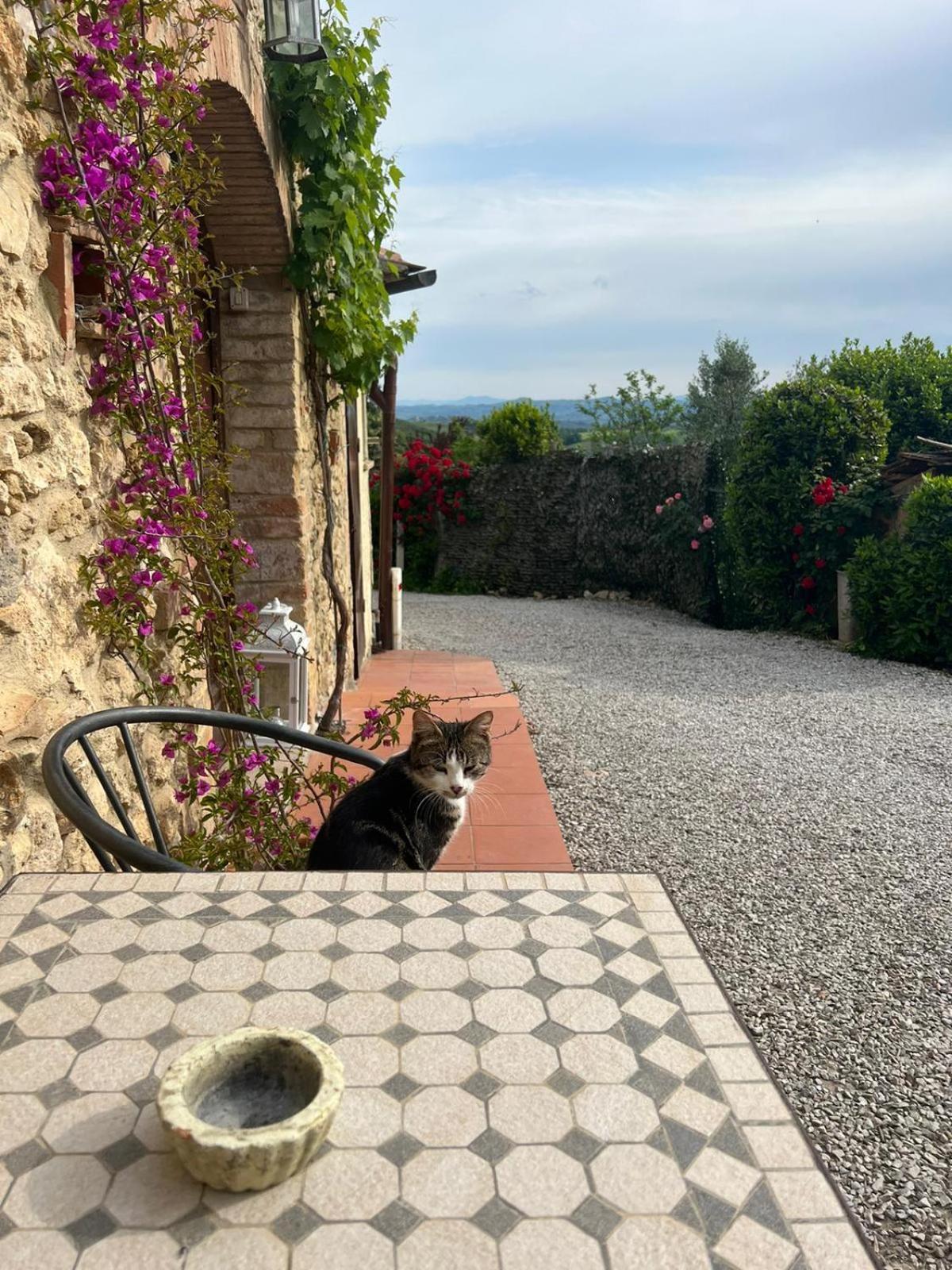 Antico Casolare Villa San Gimignano Eksteriør bilde
