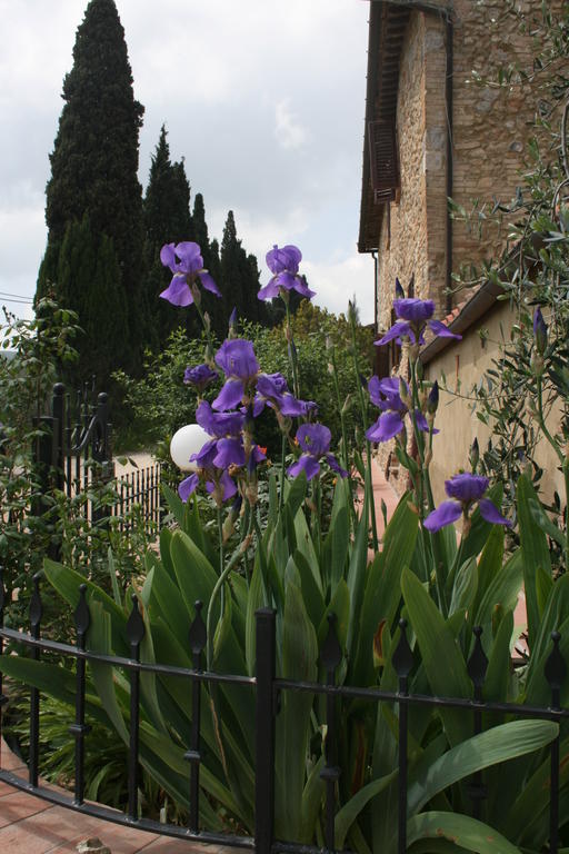 Antico Casolare Villa San Gimignano Eksteriør bilde